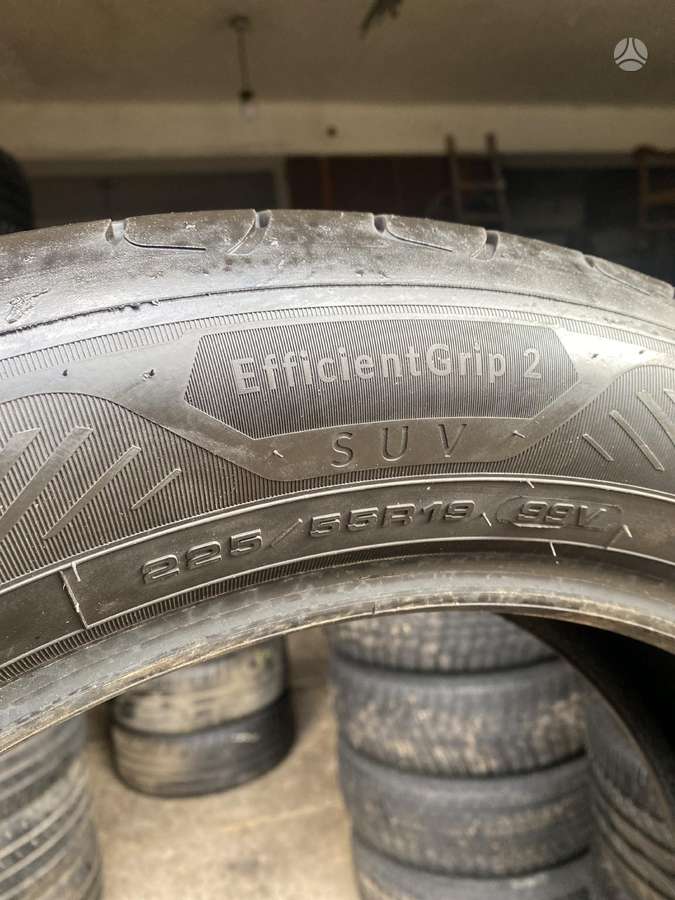 Goodyear, vasaras 225/55 R19