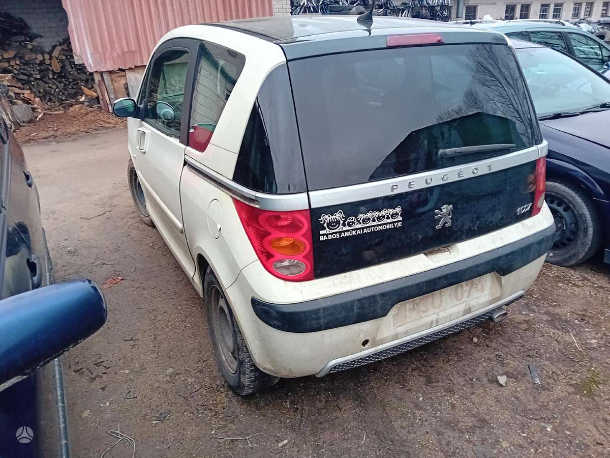 Peugeot 1007 dalimis