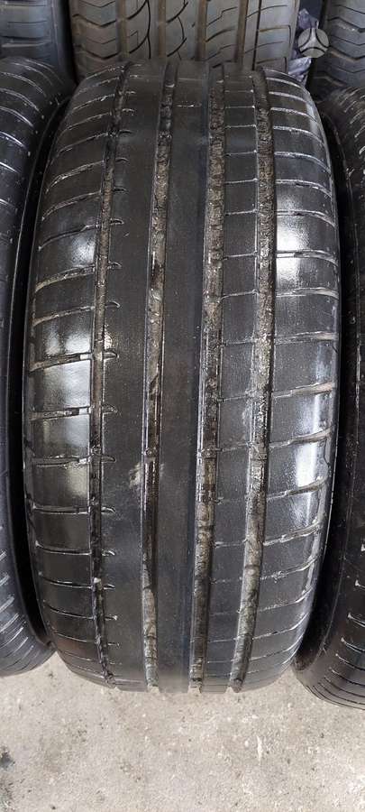 Dunlop, vasarinės 225/55 R17