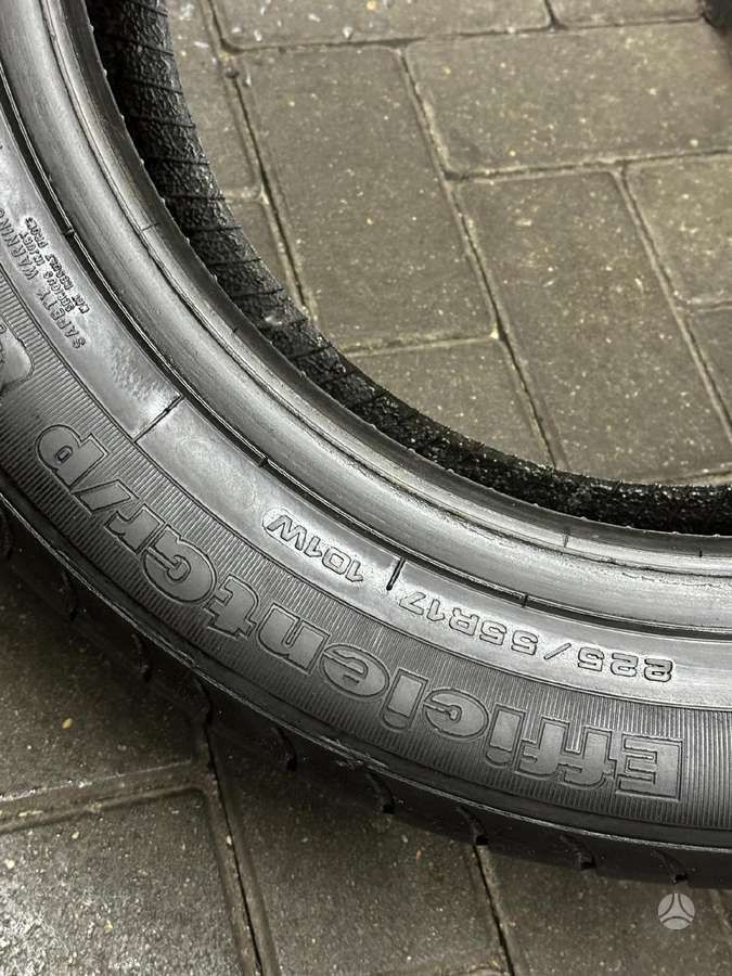 Goodyear EFFICIENTGRIP, vasarinės 225/55 R17