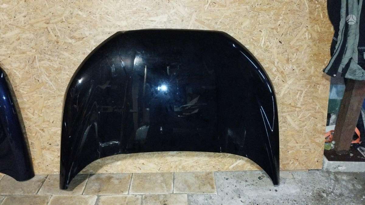 Ford EcoSport kėbulo dalys