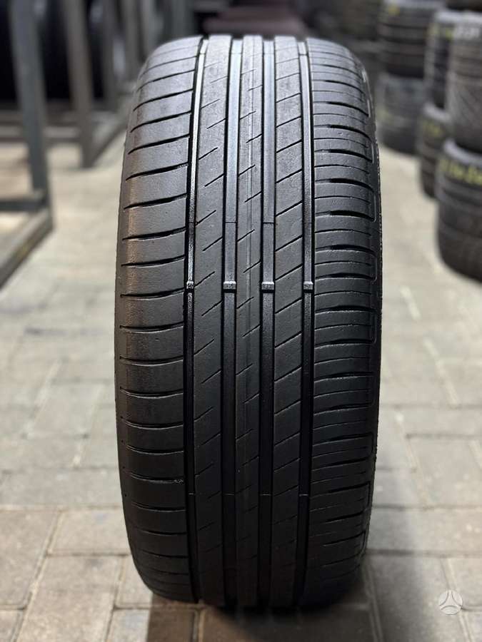 Goodyear EFFICIENTGRIP PERFORMANCE, vasarinės 225/45 R17 | A25297345
