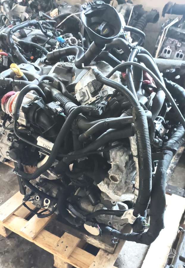 Ford Transit Custom, BJFB, engine
