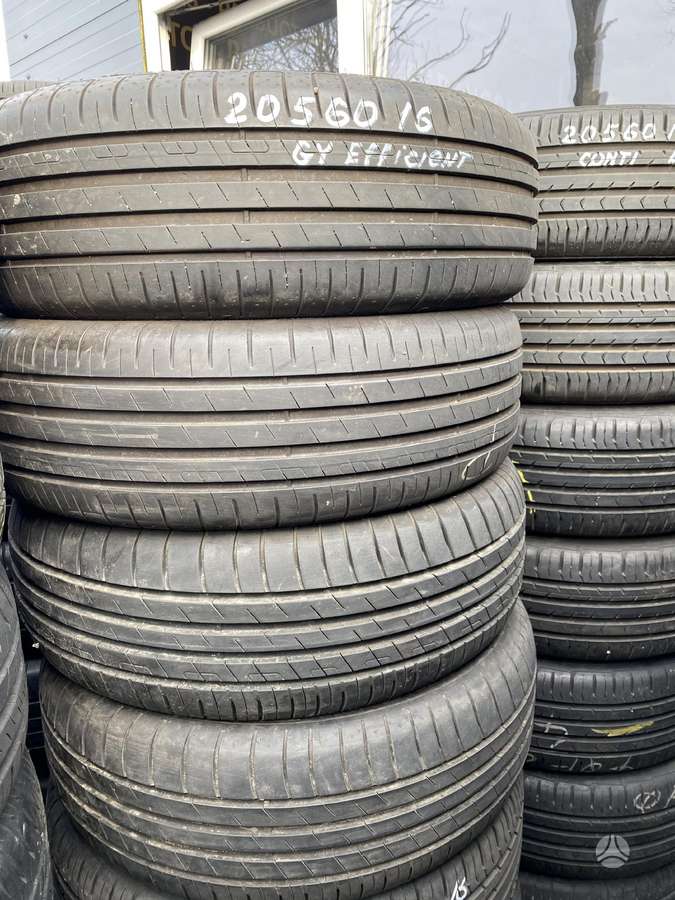 Goodyear EfficientGrip Performance, summer 205/60 R16