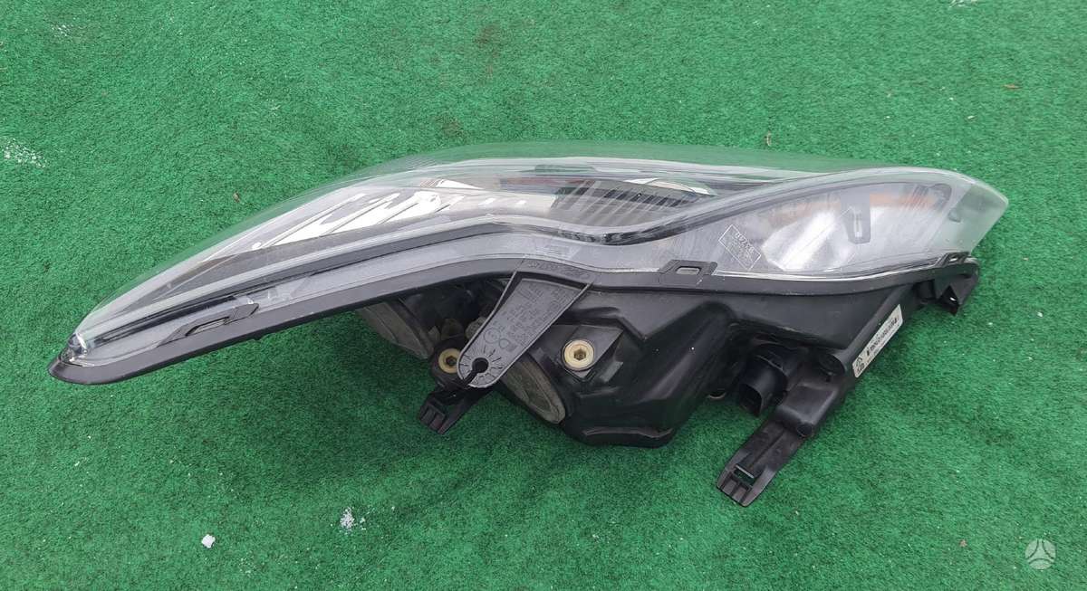 Ford Focus, 8M51-13006-cb