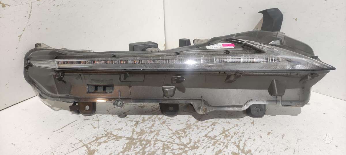 Lexus NX klasė Cen13391