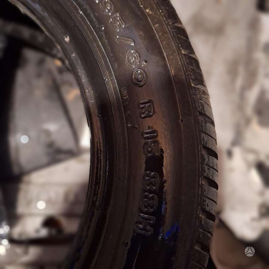 Wanli, universalios 195/60 R15