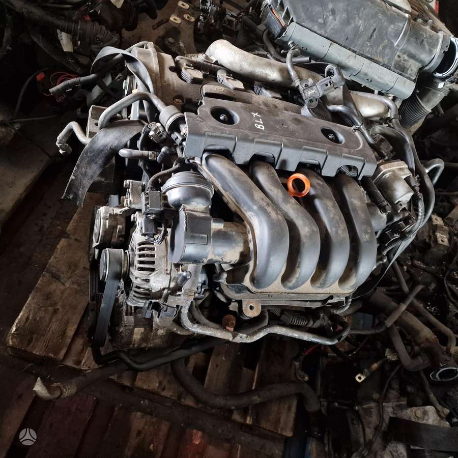 Volkswagen Passat, BLX, Variklis blx