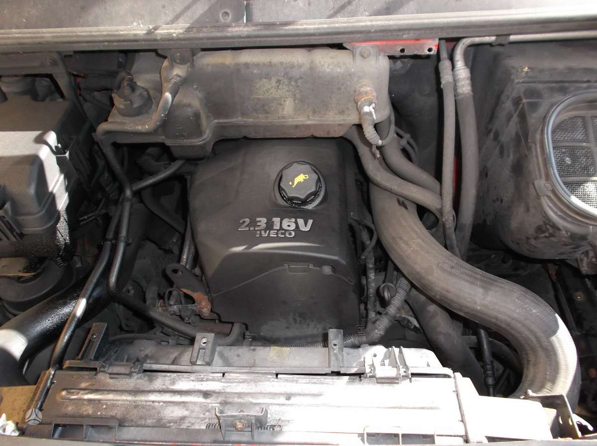 Iveco DAILY, cargo vans