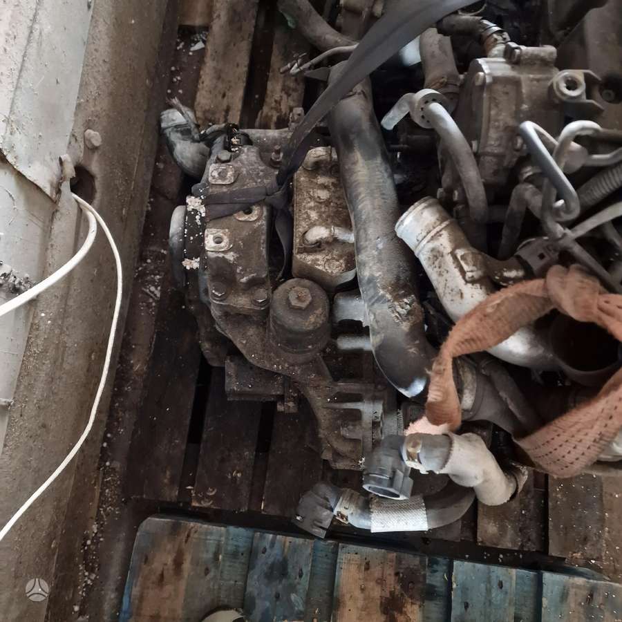 Volkswagen Passat, BMP, Variklis bmp