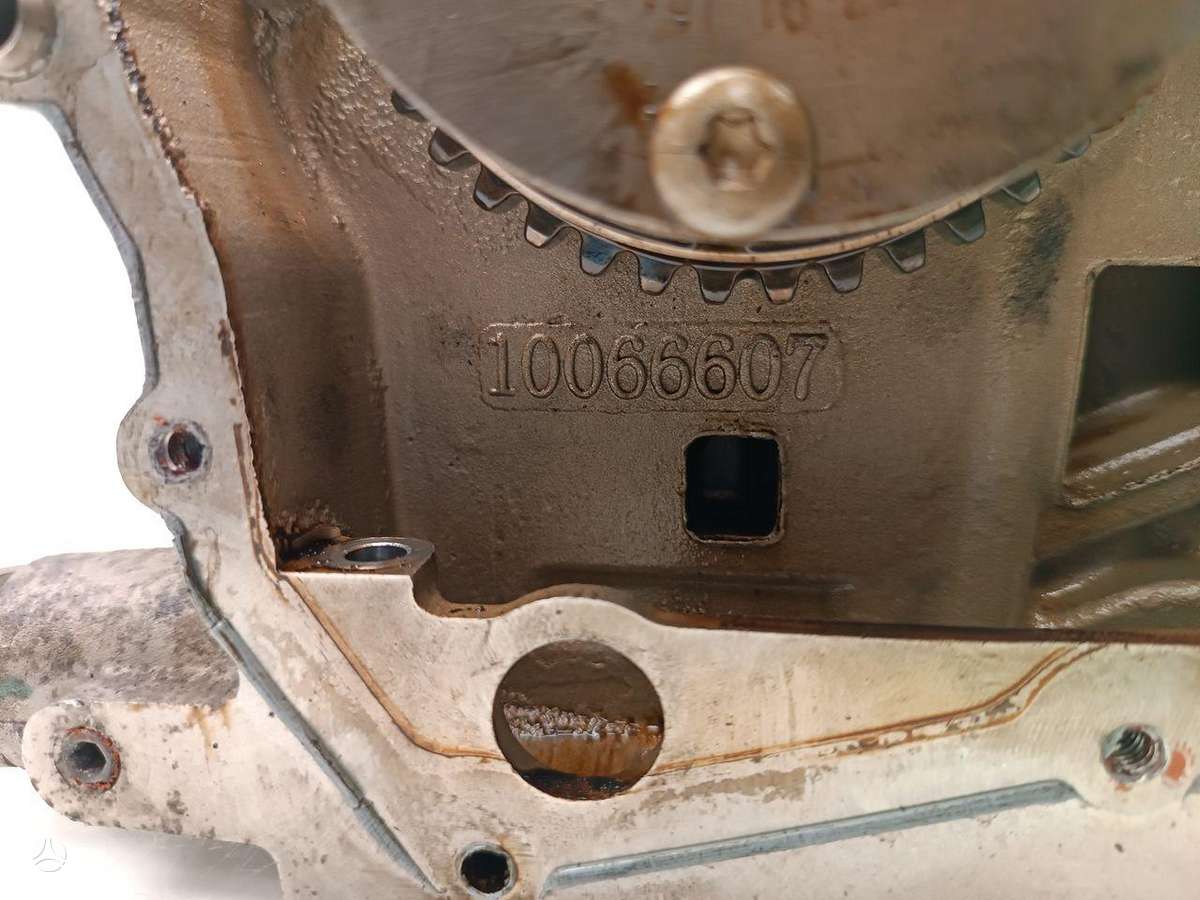 MG -kita-, 10066607, cylinder head