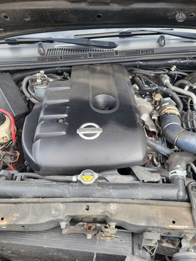 Nissan Navara dalimis