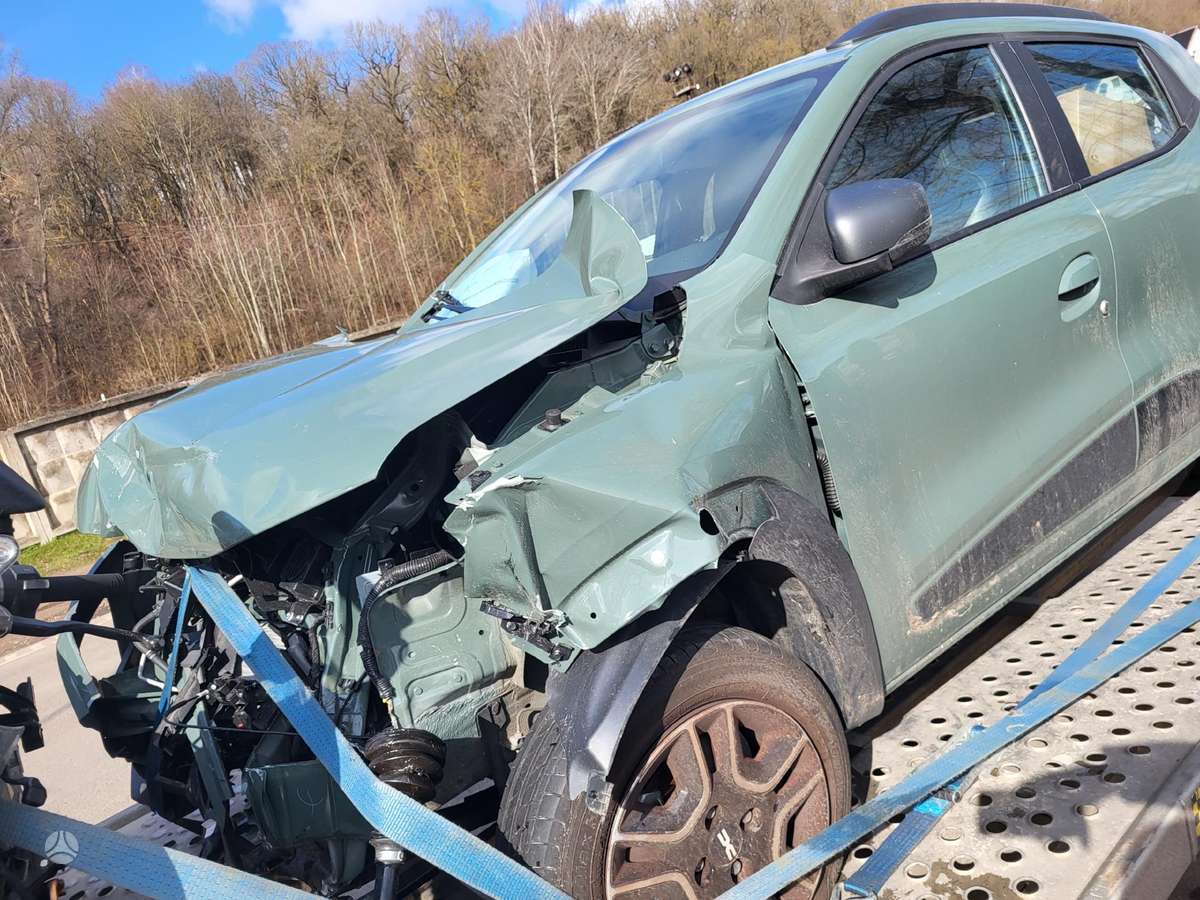Dacia Spring dalimis