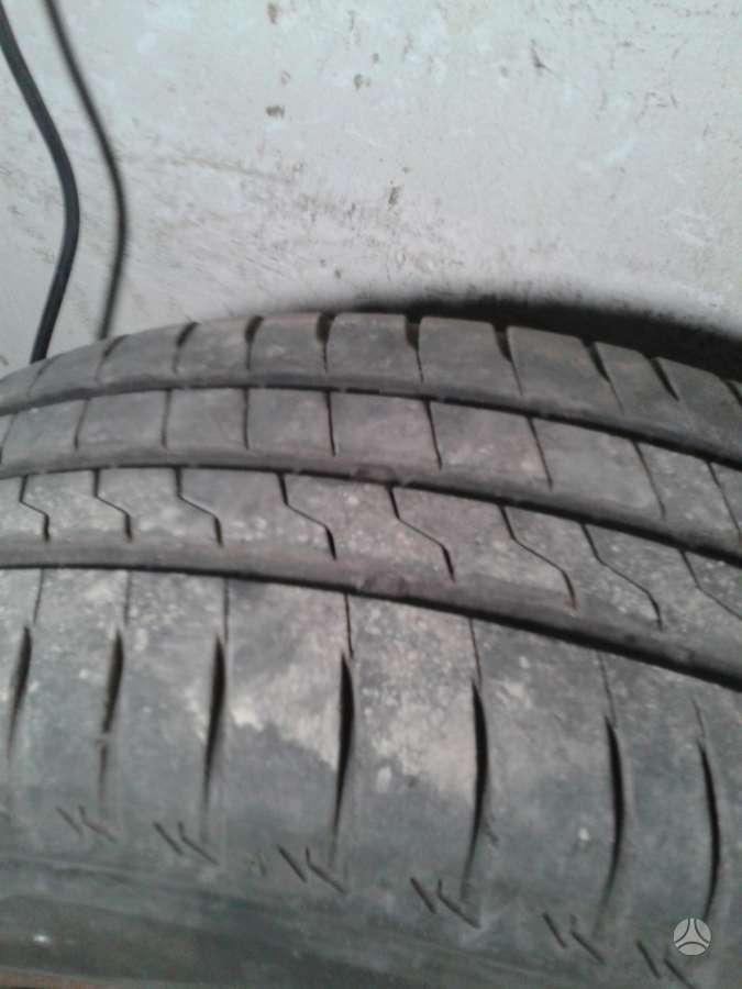 Firestone, vasarinės 195/65 R15