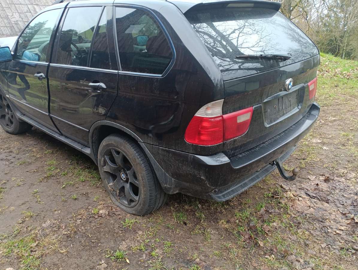 BMW X5 Dalimis