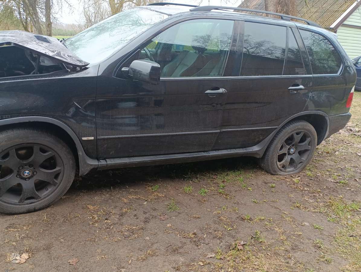 BMW X5 Dalimis