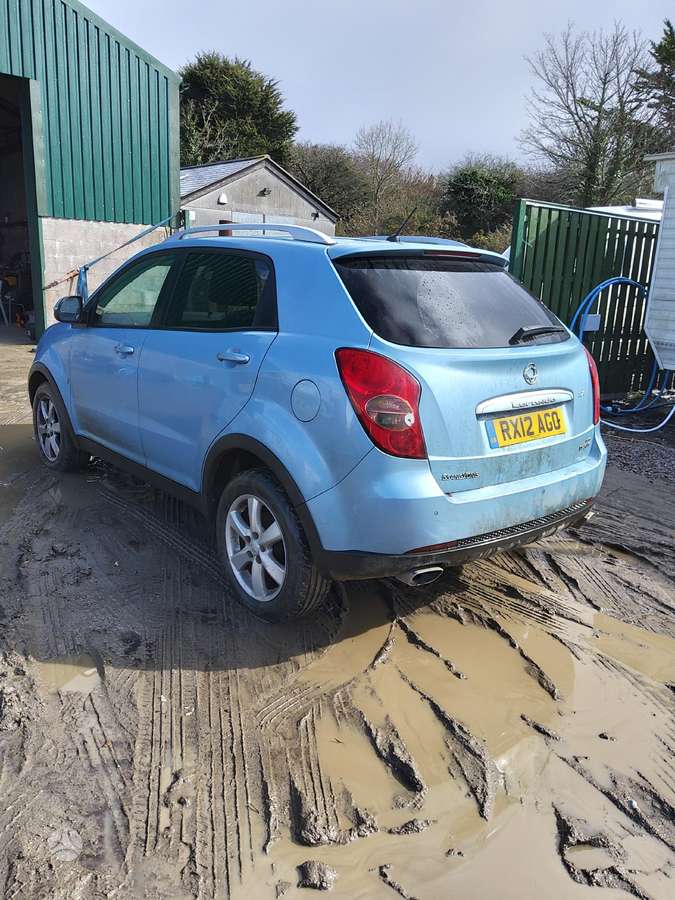 SsangYong Korando dalimis