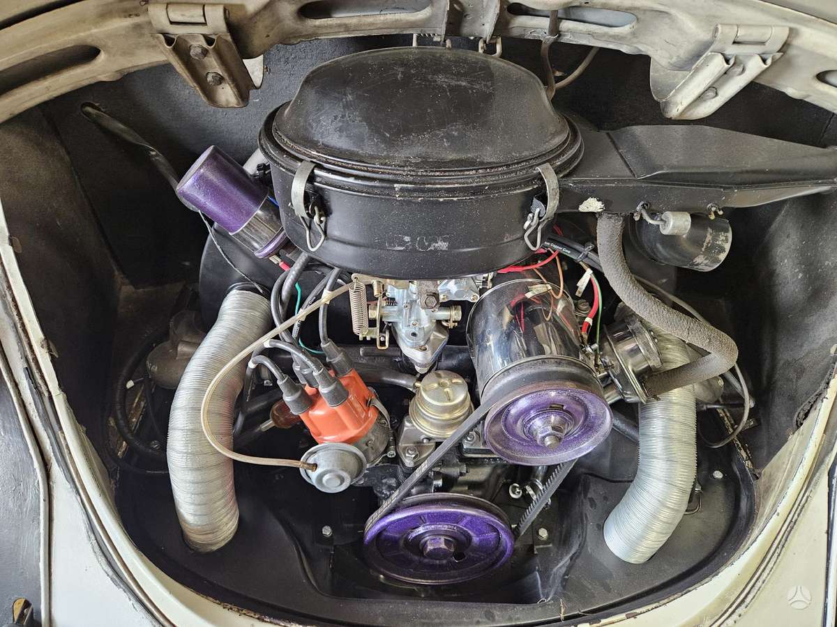Volkswagen Beetle - 9