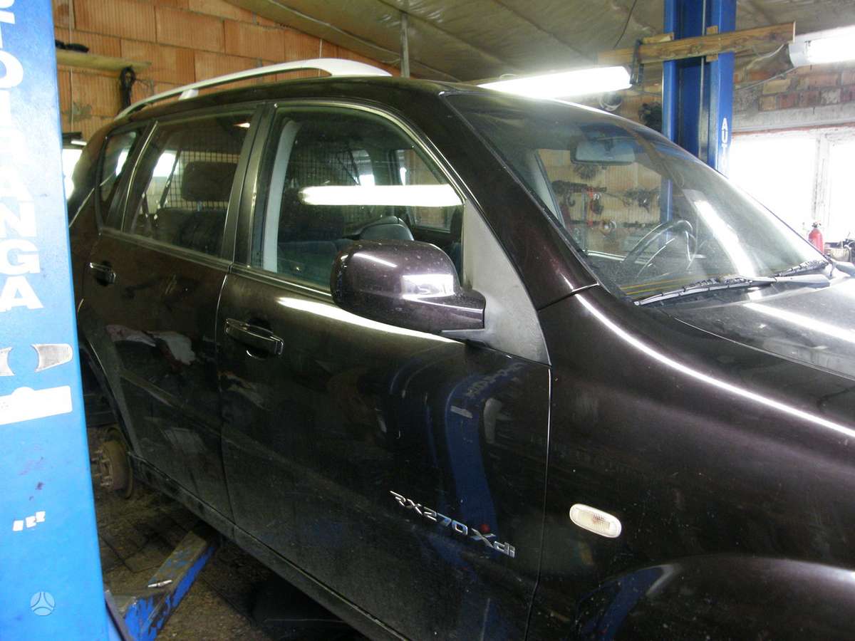 SsangYong Rexton Dalimis