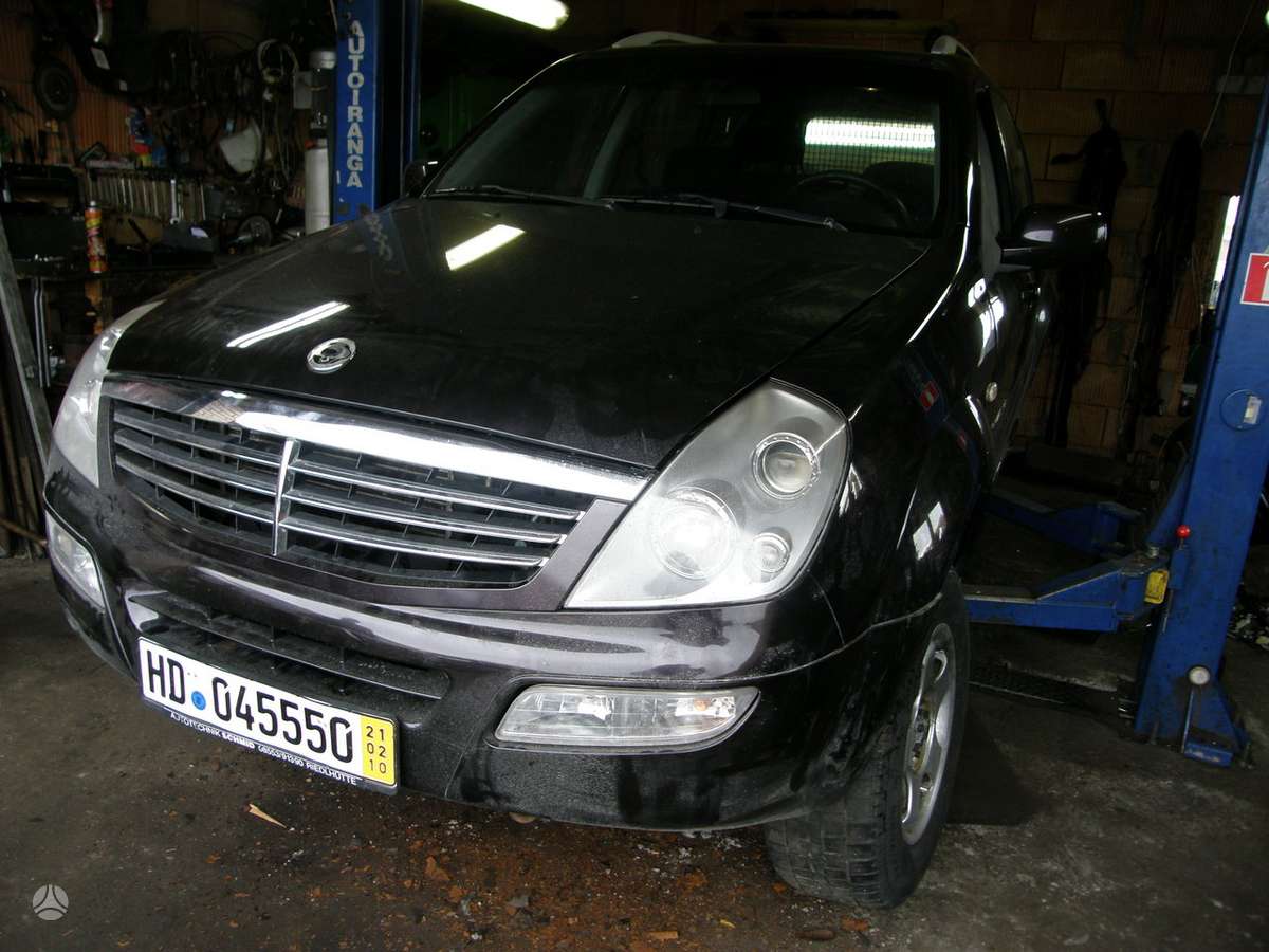 SsangYong Rexton Dalimis