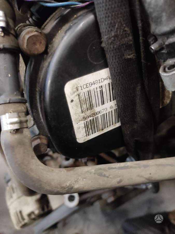 Fiat Ducato, krovininiai mikroautobusai