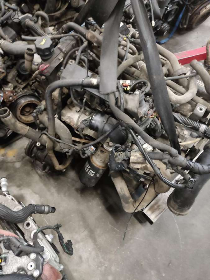 Fiat Ducato, krovininiai mikroautobusai