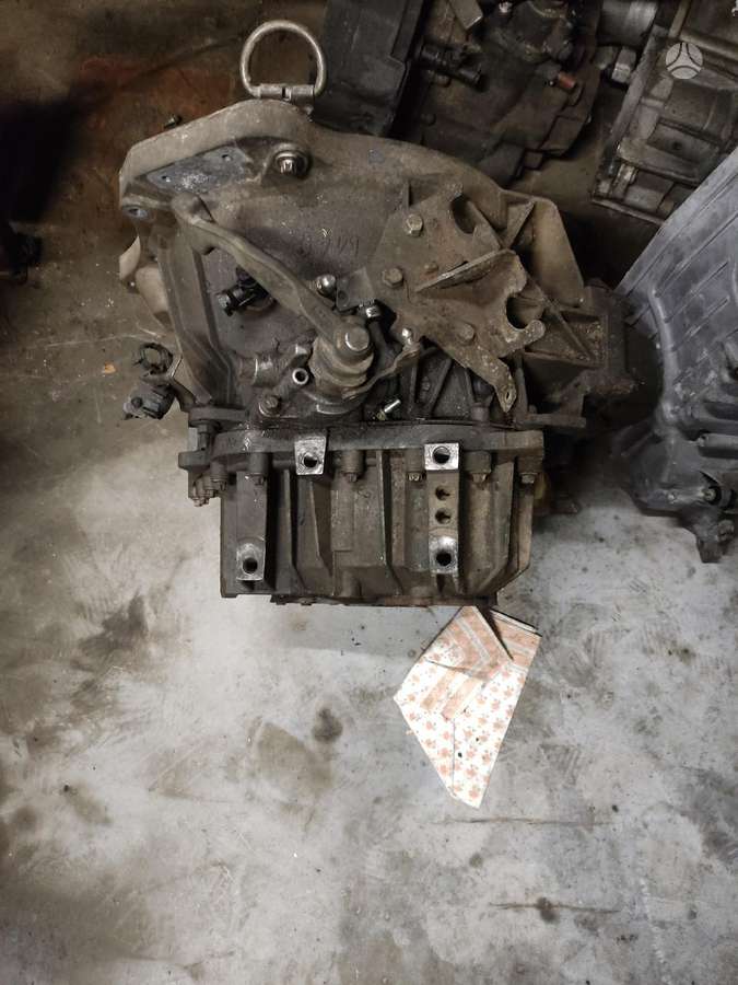 Fiat Ducato, krovininiai mikroautobusai