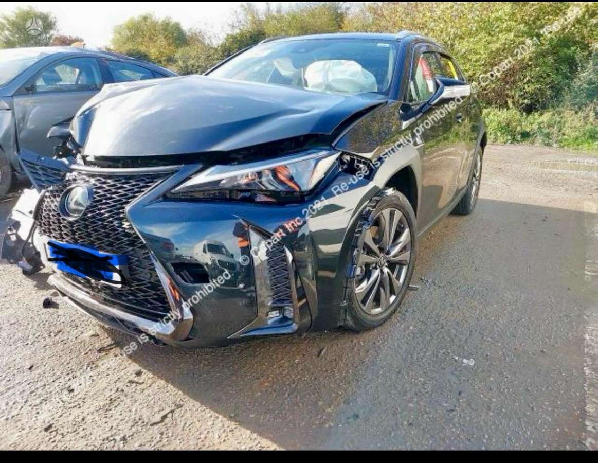 Lexus UX 250h Dalimis