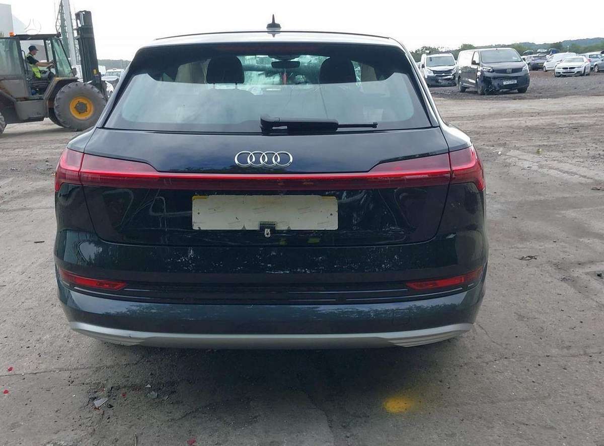 Audi e-tron dalimis. 95kwh
