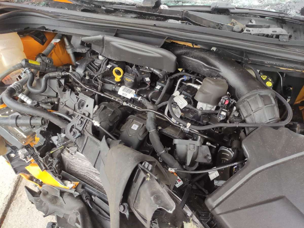 Ford Focus ST Variklis n3da