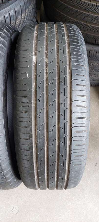 Continental, summer 195/55 R16