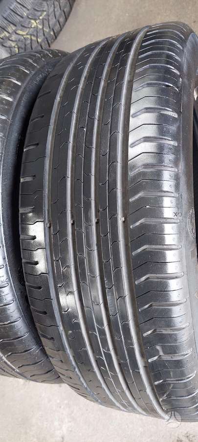 Continental, summer 195/55 R16