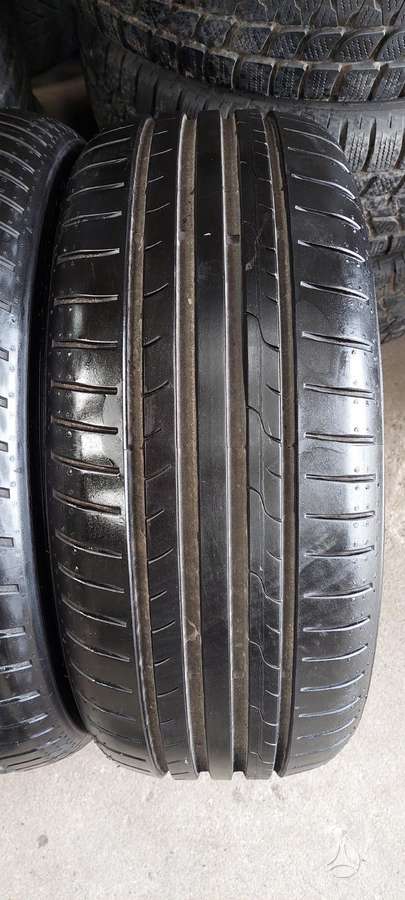 Dunlop, summer 205/50 R17