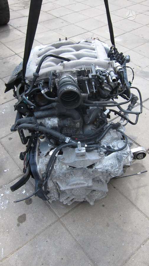 Ford Mondeo Variklio kodas lcbd