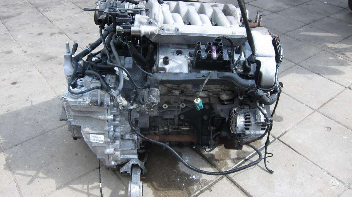 Ford Mondeo Variklio kodas lcbd
