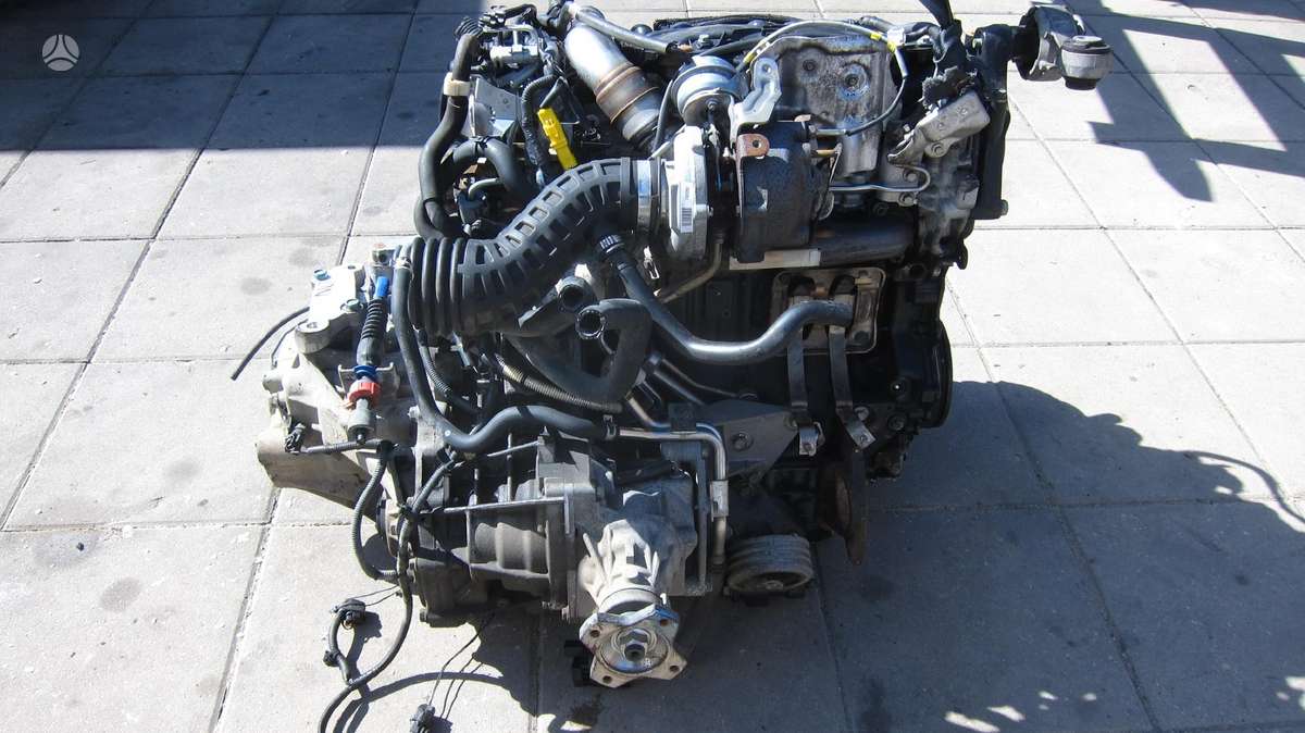 Renault Koleos Variklio kodas m9r 830