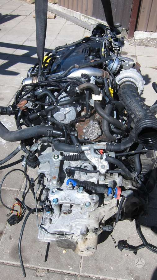 Renault Koleos Variklio kodas m9r 830