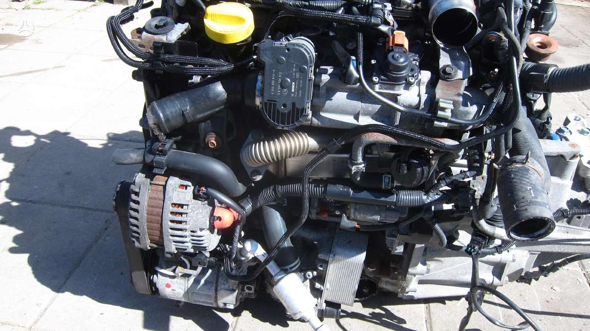 Renault Koleos Variklio kodas m9r 830