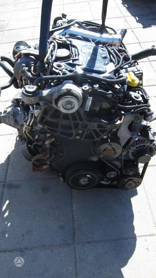 Renault Koleos Variklio kodas m9r 830