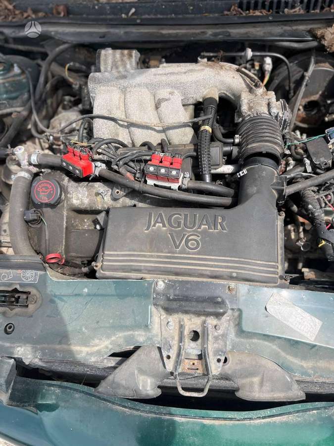 Jaguar X-Type dalimis