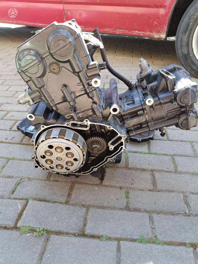 Suzuki SV, superbikes