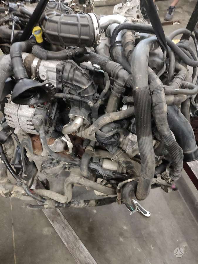 Ford Transit, грузовые микроавтобусы