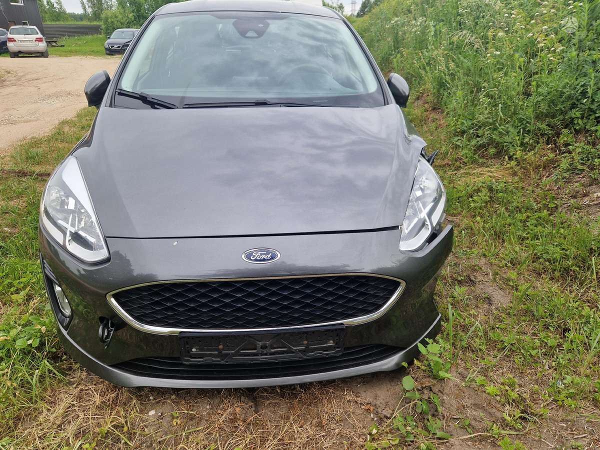Ford Fiesta dalimis