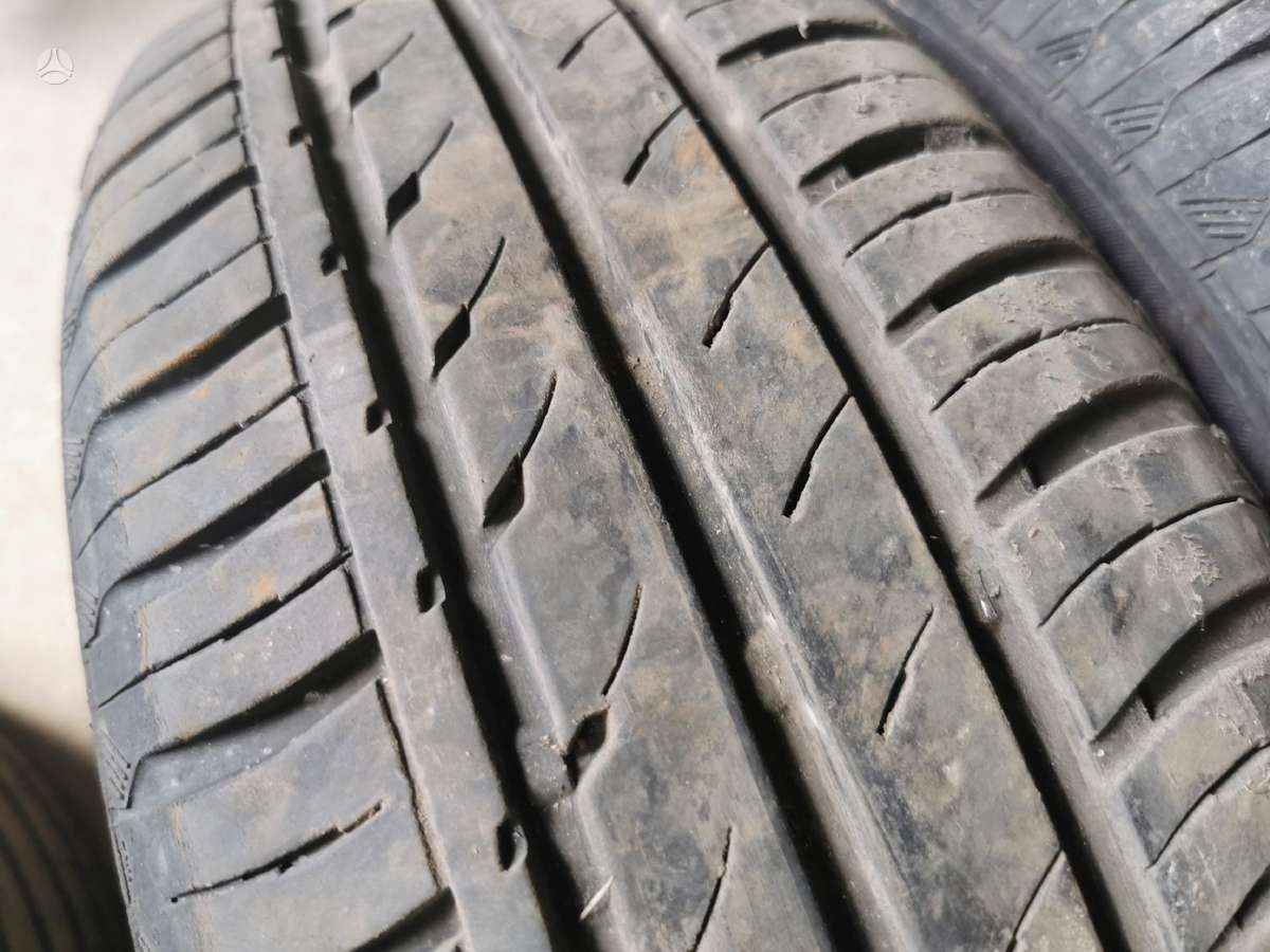 Continental, vasarinės 195/65 R15