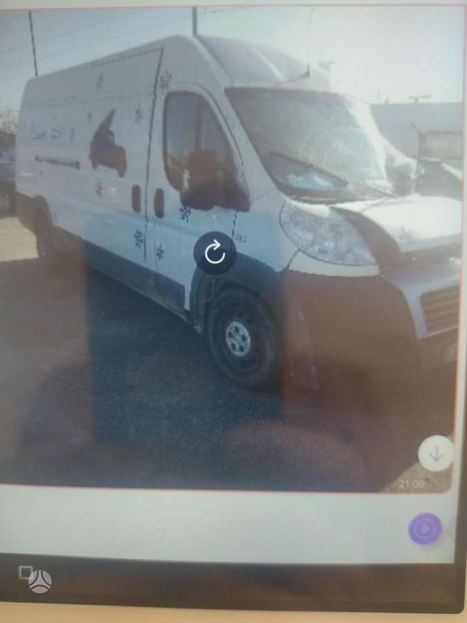 Fiat Ducato, cargo vans