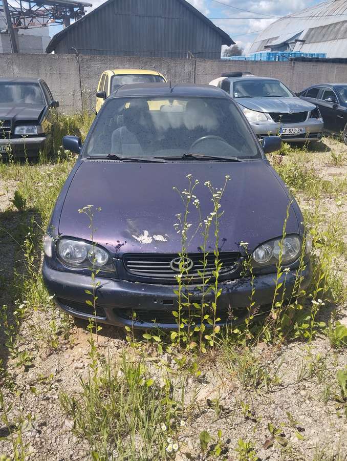 Toyota Corolla dalimis
