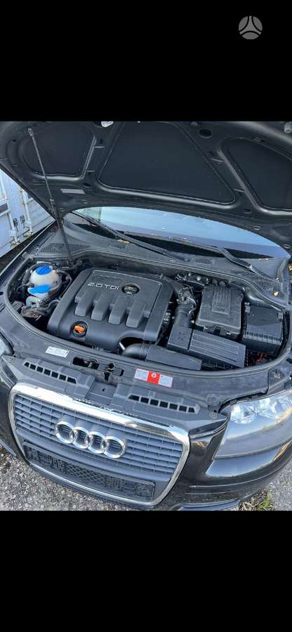 Audi A3, 2.0 l., hatchback