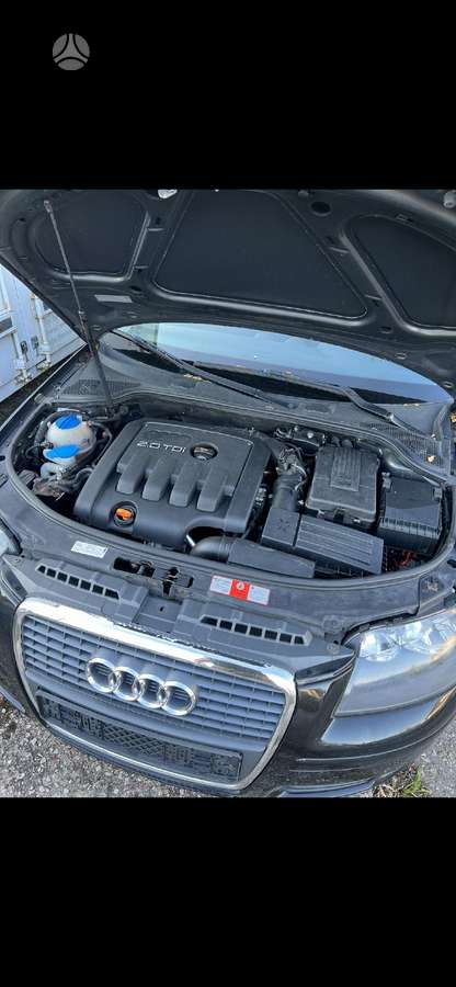 Audi A3, 2.0 l., hečbekas