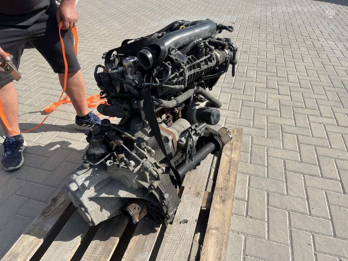 Ford Focus Tik variklis