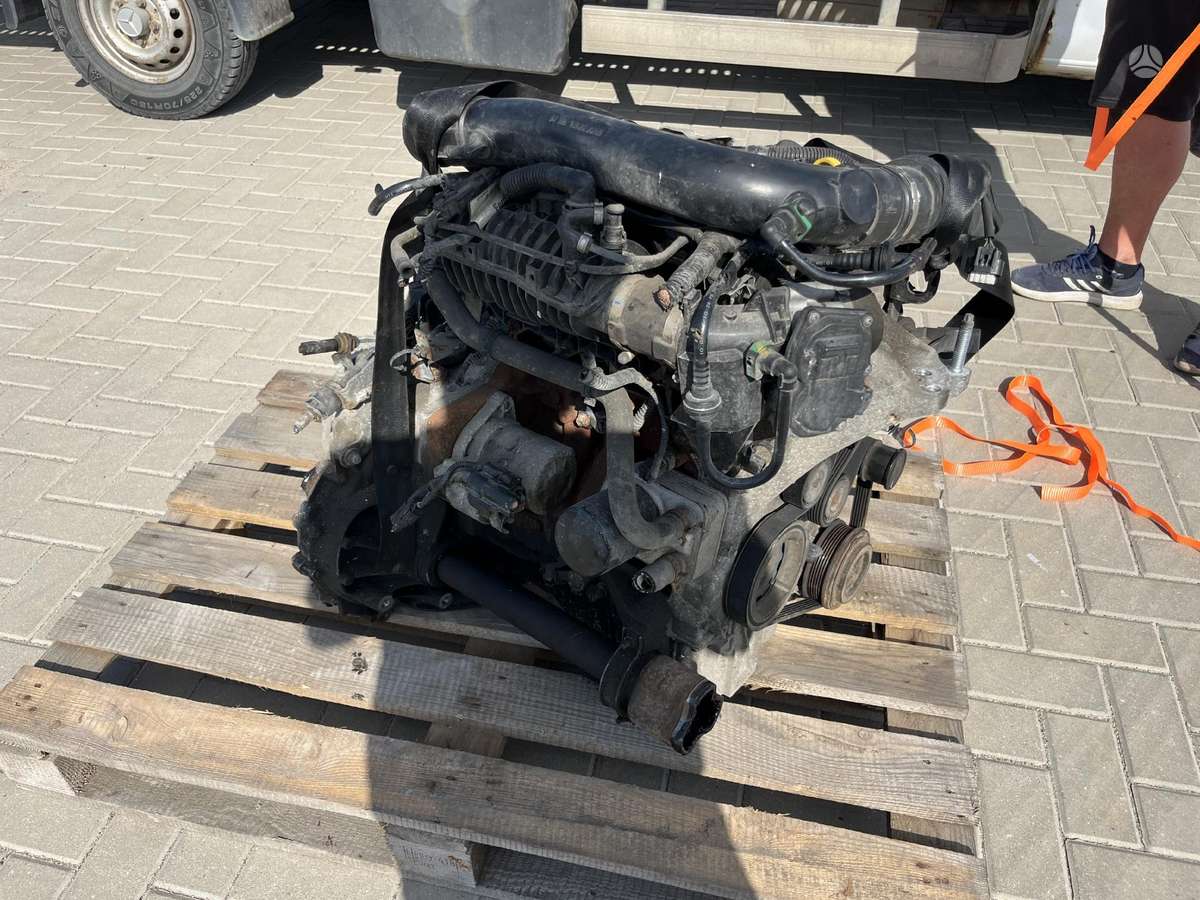 Ford Focus Tik variklis